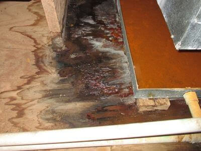 About water damage restoration service - burst pipe water damage experts in Tampa